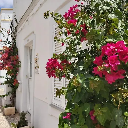 Casa Limoncello, Tipica, Cosy, Localizacao Top, Olhão