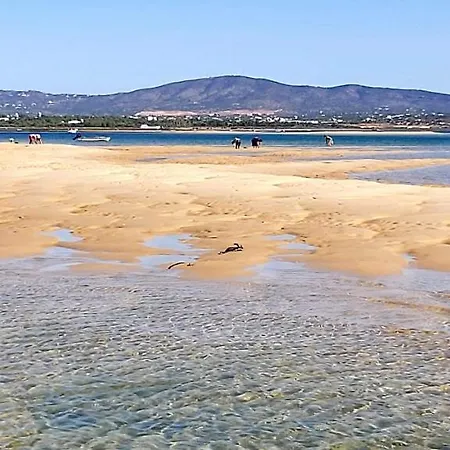 Casa Limoncello, Tipica, Cosy, Localizacao Top, Villa *